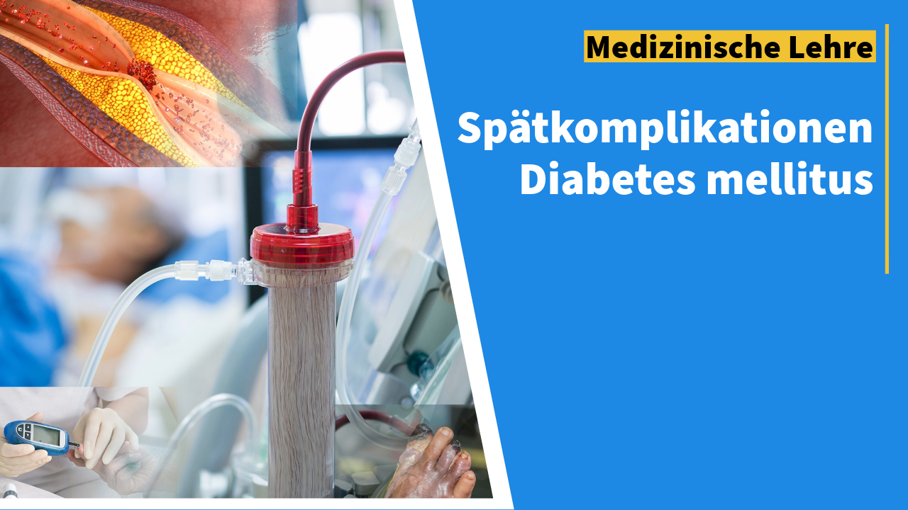 Bildcollage aus verengter Arterie mit Fettablagerungen, Dialysefilter am Krankenbett, Blutzuckermessung mit Handschuh und geschädigten Füßen – Folgeschäden dauerhaft erhöhter Blutzuckerwerte